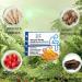 Natural Herbal Hemorrhoid Relief Capsules - Rapid Treatment (3 pcs) - Buy Online on GoSupps.com