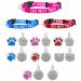 Cat Collar DO NOT Feed in Red Pink Or Blue Safety Release & Optional Engraved ID Tag (Blue 25mm Plain Silver Tag)