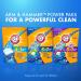 Arm & Hammer 4-in-1 Laundry Detergent Power Paks 58 Count - Pack of 1 - Buy Online on GoSupps.com