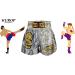 Kurop Dragon Gray Boxing Muay Thai Shorts X-Large - MMA Kickboxing Fight Clothing - Buy Online on GoSupps.com