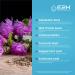 E2H Liver Support Supplement with Milk Thistle - Liver Cleanse and Detox - 2 Fl Oz Liquid Formula with Artichoke, Dandelion Root, Chanca Piedra - Pack of 1 - Buy Online on GoSupps.com
