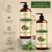 Handcraft Castor Oil with Rosemary for Hair Growth - 100% Pure Carrier Oil for Eyelashes, Eyebrows, and Body - Moisturizing Aromatherapy Massage Oil - 8 fl. Oz - Buy Online on GoSupps.com