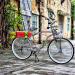 SENQI Retro Bike Bell - Classic Tree-Tube Horn for Adults | Bicycle Hand Pressure Horn for Decoration - Buy Online on GoSupps.com