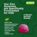 Kids Zinc Gummies 15mg - Immune Support Booster - Berry Flavor - 120 Count - Gluten Free GMO Free - Buy Online on GoSupps.com