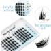 15mm C Curl Cluster Lashes 0.07mm - Soft and Wispy DIY Lash Extensions | Reusable Individual Eyelash Clusters | FD-D33-0.07-C-15 - Buy Online on GoSupps.com