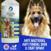 Pet Harmony Natural Dog Anti-Itch & Skin Healing Spray -500ml- Enriched with Chamomile Coconut & Essential Oils Promotes Hair Growth Anti-Bacterial Anti-Fungal Anti-Inflammatory Allergy Relief - Buy Online on GoSupps.com