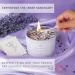 Healing Crystal Candle with Amethyst | 12oz Soy Wax Aromatherapy | Spiritual Meditation Gifts for Women - Buy Online on GoSupps.com
