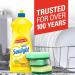 SUNLIGHT 2468587 Standard Dishwashing Liquid Lime Mint 800mL Yellow - Buy Online on GoSupps.com