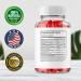Lifetime Keto Plus ACV Gummies - Official Formula Vegan Non GMO, 60 Gummies - Buy Online on GoSupps.com