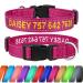 Tagme personalized dog collar for small dog with embroidered reflective nylon dog collar with pet name & telephone number hot pink xs XS (1 Pack) hot pink