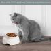 CatGuru Ceramic Cat Food Bowl - No Spill, Stress-Free Whisker Relief, Non-Skid - High-Low White - Buy Online on GoSupps.com