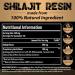Gold Standard Shilajit Resin 600mg Blend | High Fulvic Acid | Ayurvedic Extracts | Energy & Performance Support | 30g Pack - Buy Online on GoSupps.com