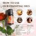 Ecodrop Rose Essential Oil 10ml - Certified Organic, 100% Pure for Aromatherapy, Massage & Diffusers - Therapeutic Grade, Natural & Organic - Includes e-Book - Buy Online on GoSupps.com