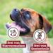 Buy Chewies Hundeleckerli Mix - 3 x 200g Dog Snacks | Sugar-Free High Meat Content | Beef Rumen Poultry Treats for Training (600g) - Buy Online on GoSupps.com