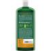 Logona - 1003shahen - Hair Care and Beauty - Henna Highlights Shampoo - 250 ml - ORGANIC - Buy Online on GoSupps.com