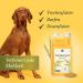 Martenbrown Rice Germ Oil 1L for Horses Dogs & Donkeys | Dietary Supplement for Dry & Canned Food | Practical Dosing Bottle - Buy Online on GoSupps.com