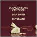 SheaMoisture Jamaican Black Castor Oil Styling Lotion - 8 oz | Silicone-Free Treatment for Damaged Natural Hair - Buy Online on GoSupps.com