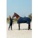 Horze Tessa Women's Silicone Full Seat Riding Tights - Peacoat Dark Blue, Size 30 - Buy Online on GoSupps.com