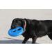 ROGZ RF01-B Flying Object Dog Frisbee Toy - Blue | Playful Throwing Disc for Dogs - Buy Online on GoSupps.com