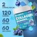 Marine Collagen Gummies Hydrolysed Collagen Peptides w/Biotin Hyaluronic Acid & Vitamin C Collagen Supplements for Women & Men Collagen for Skin Hair & Nails (One Size Blueberry) Blueberry 1 count (Pack of 120) - Buy Online on GoSupps.com