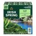 Irish Spring Aloe Bar Soap 3.75 Oz-pack of 20 Bars 3.75 Ounce (Pack of 20) Aloe