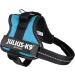 K9 Powerharness S/Mini - Aquamarine | Shop Internationally for the Best Dog Harness  - Buy Online on GoSupps.com