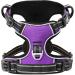 Heele XL Purple Dog Harness - Adjustable No-Pull Breathable Reflective Design for Large Dogs (Chest Size 53-97cm) - Buy Online on GoSupps.com