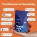 Stay Wyld Organics - Reishi Mushroom Supplement Capsules - 100% Canadian Grown Mushrooms Organic Reishi Mushroom Supplements For Mental Wellness and Calm - 90 Capsules - Buy Online on GoSupps.com