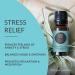 Edens Garden Stress Relief Essential Oil Synergy Blend - 100% Pure Therapeutic Grade - 10ml - Buy Online on GoSupps.com