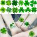 48 PCS FANRUI 3D Shamrock Temporary Tattoos - Saint Patrick's Day Party Favor for Kids & Adults - Lucky Green Four Leaf Clover Decals - Buy Online on GoSupps.com