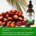 Pure Organic Batana Oil - Cold-Pressed Hair Oil for Hydration & Repair | 60ml | Natural Skin & Body Care - Buy Online on GoSupps.com