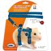 ICA DA977 Harness and Belt for Hamsters Blue