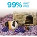 Carefresh Dust-Free Confetti Natural Paper Small Pet Bedding - 10L | Odor Control | Eco-Friendly - Buy Online on GoSupps.com