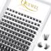 Eyelashes Individual Quewel Individual eyelash clusters lashes mega c curl mix8-16 144stck eyelash segments wide foundation individual eyelashes for eyes make-up diy eyelash extensions (mega-c mix) 1 piece (1 Pack) Mega-C-plus mix 8-16mm