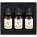 Brubaker Cosmetics Chamomile Oil Set - 3 x 10ml Vegan Essential Oils for Calm & Harmony - Aromatherapy Gift - Buy Online on GoSupps.com