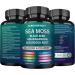 Sea Moss Advanced - Sea Moss 3000mg Black Seed Oil 2000mg Ashwagandha 1000MG Bladderwrack 1000MG Burdock 100MG & Vitamin C Vitamin D3 For Skin Hair Supplements |Man & Women| 30 Days Supply Capsules - Buy Online on GoSupps.com