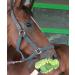 Lucfor Grooming Glove | Effortlessly Clean Pet Fur & Pamper Your Pet | International Shipping - Buy Online on GoSupps.com