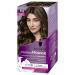 Schwarzkopf Perfect Mousse Permanent Hair Colour Foam Ammonia-Free - Chestnut 500