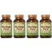 Only Natural Moringa Pure 1000mg 90 Vegetarian Capsules (4-Pack) - Natural Energy Boost & Immune Support - Buy Online on GoSupps.com