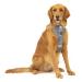 Kurgo Tru-Fit Dog Harness Crash Tested Car Seat Belt For Dogs 2 to 5 kg Size XL Gray Gray XL