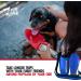 Tuff Pupper PupFlask Neoprene Dog Water Bottle Holder Sling - 27oz Nebulas Blue - Adjustable Shoulder Strap for Travel, Walking & Hiking - Buy Online on GoSupps.com