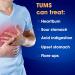 TUMS EX Assorted Berries 8 Count - Pack of 12 Antacid Rolls - Buy Online on GoSupps.com