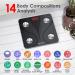 ZOETOUCH Smart Digital Bathroom Scale for Body Weight and Fat Accurate Weighing Machine Wireless Body Composition Analyzer for BMI Water BMR Muscle Sync with Bluetooth App 400lbs Black 400 lbs Black - Buy Online on GoSupps.com