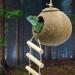 Aobuviou Gecko Coconut Husk Hut Coconut Bird Nest Reptile Coconut Hide with Ladder Natural Reptile Hideouts Bird Coconut Shell Coconut Hide for Reptiles Bird Small Animal - Buy Online on GoSupps.com