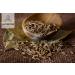 Naturevibe Botanicals Organic Whole Cumin Seeds 1lb - Gluten-Free & Non-GMO | Raw Cuminum cyminum L. for Flavor | 1 Pound Pack - Buy Online on GoSupps.com
