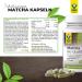 Raab Vitalfood Organic Matcha Capsules - Premium Vegan Green Tea Extract from Japan | 60 Pieces Gluten-Free 1 Month Supply - Buy Online on GoSupps.com