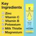 Kickback Morning Boost Lemonade 10 Pack Electrolyte Hydration Beverage with Electrolytes & Vitamins for Enhanced Energy & Focus Innovative Proprietary Drink for Liver & Gut Support - Buy Online on GoSupps.com