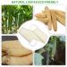 Back Scrubber for Shower - Natural Loofah Exfoliating Body Scrubber for Men & Women (2 Packs) | Perfect Shower Accessory - Buy Online on GoSupps.com