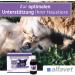 Alfavet Reconvales Antiphos - Kidney Support for Cats & Dogs | Nutritional Supplements with Phosphate Binders - 3 x 90ml Bottles - Buy Online on GoSupps.com