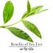 Shop Tea Tree Mint Moisturizing Body Wash - Refreshing & Hydrating | International Shipping Available - Buy Online on GoSupps.com